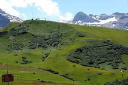 DSC00599-1