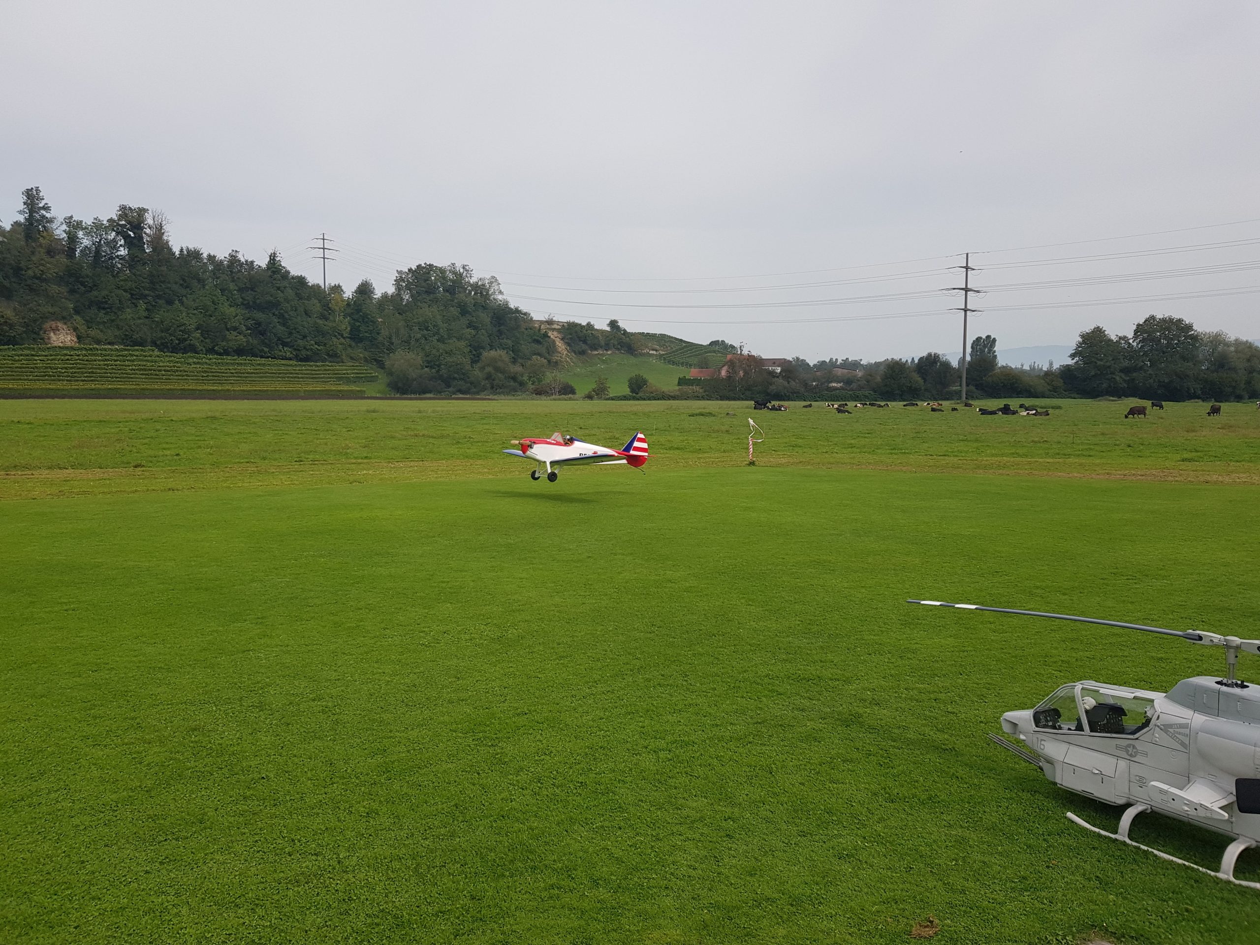 Flugverbot Weihnachtstag
