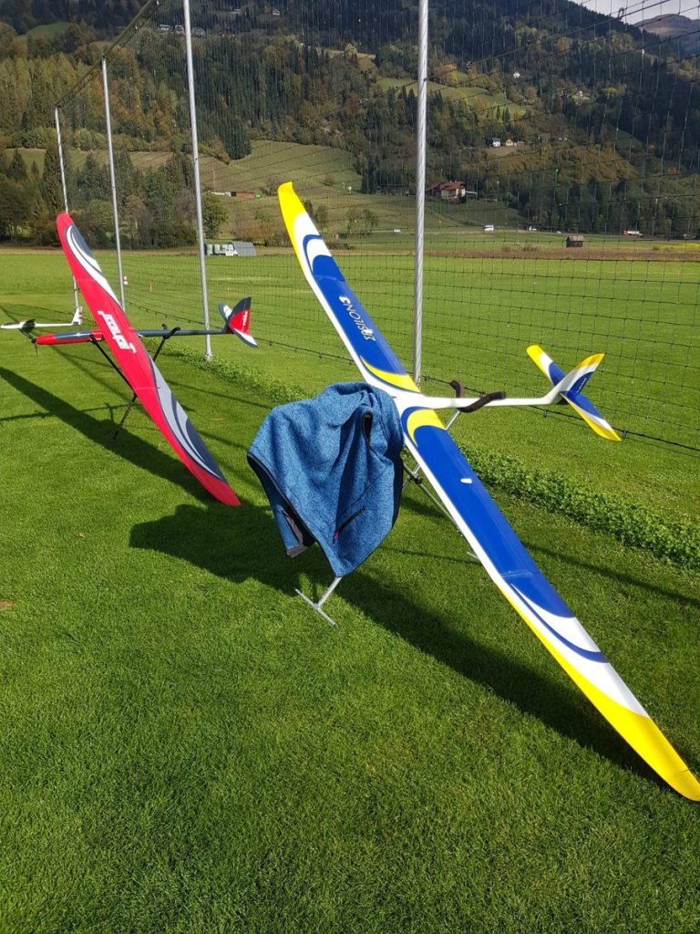 Segler auf der Wiese