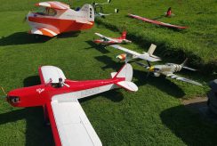 Freundschaftsfliegen MFG Altstätten: Doppeldecker und weitere Modelle auf der Wiese